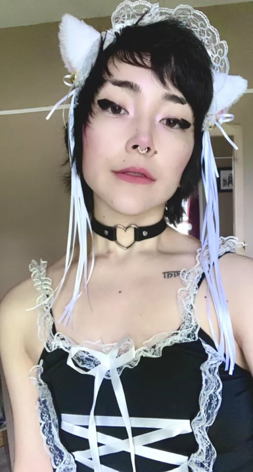 leash me 🤭 by BitterYesterday3397