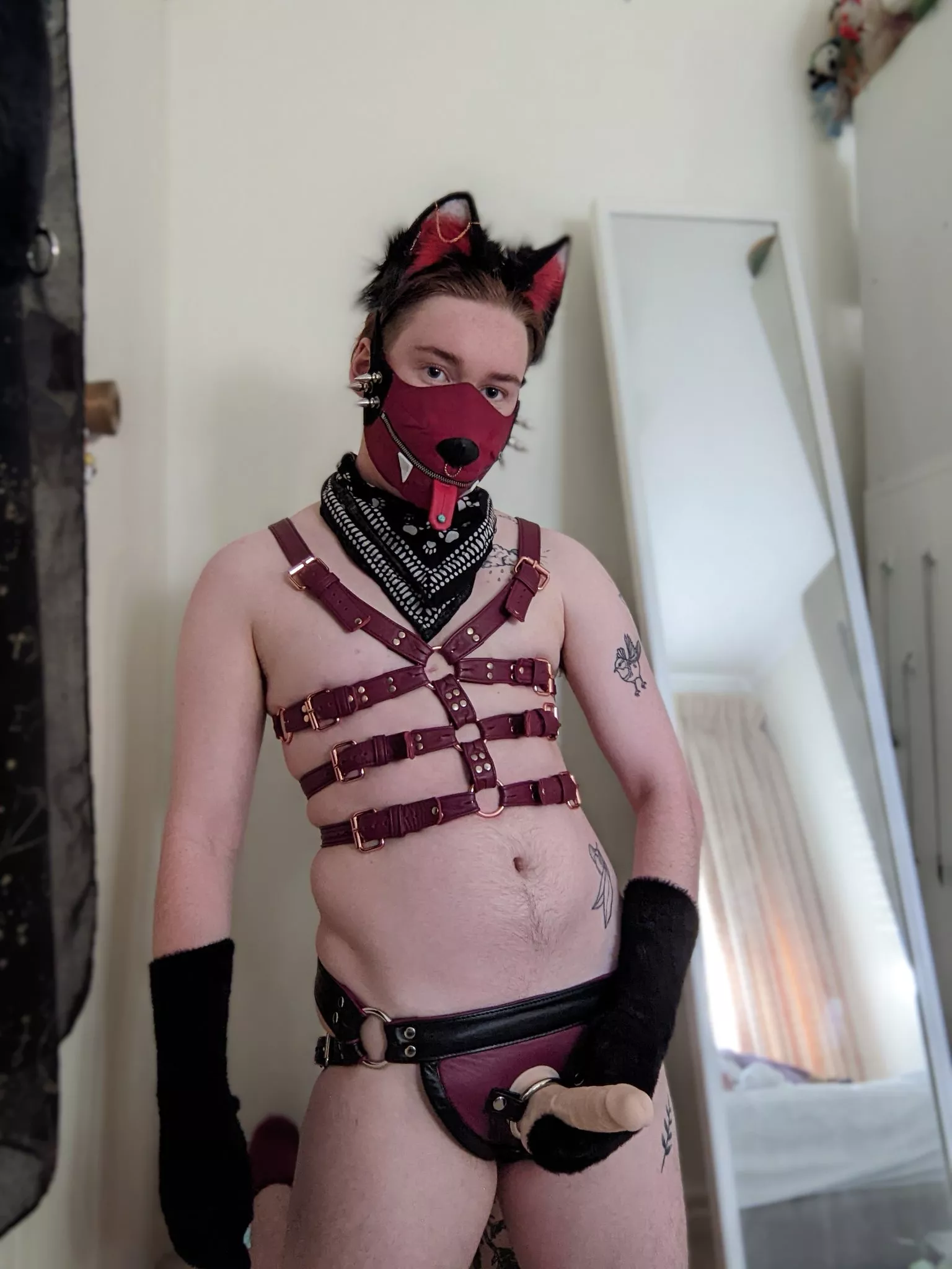 Leather Pup posted by 3monthstud