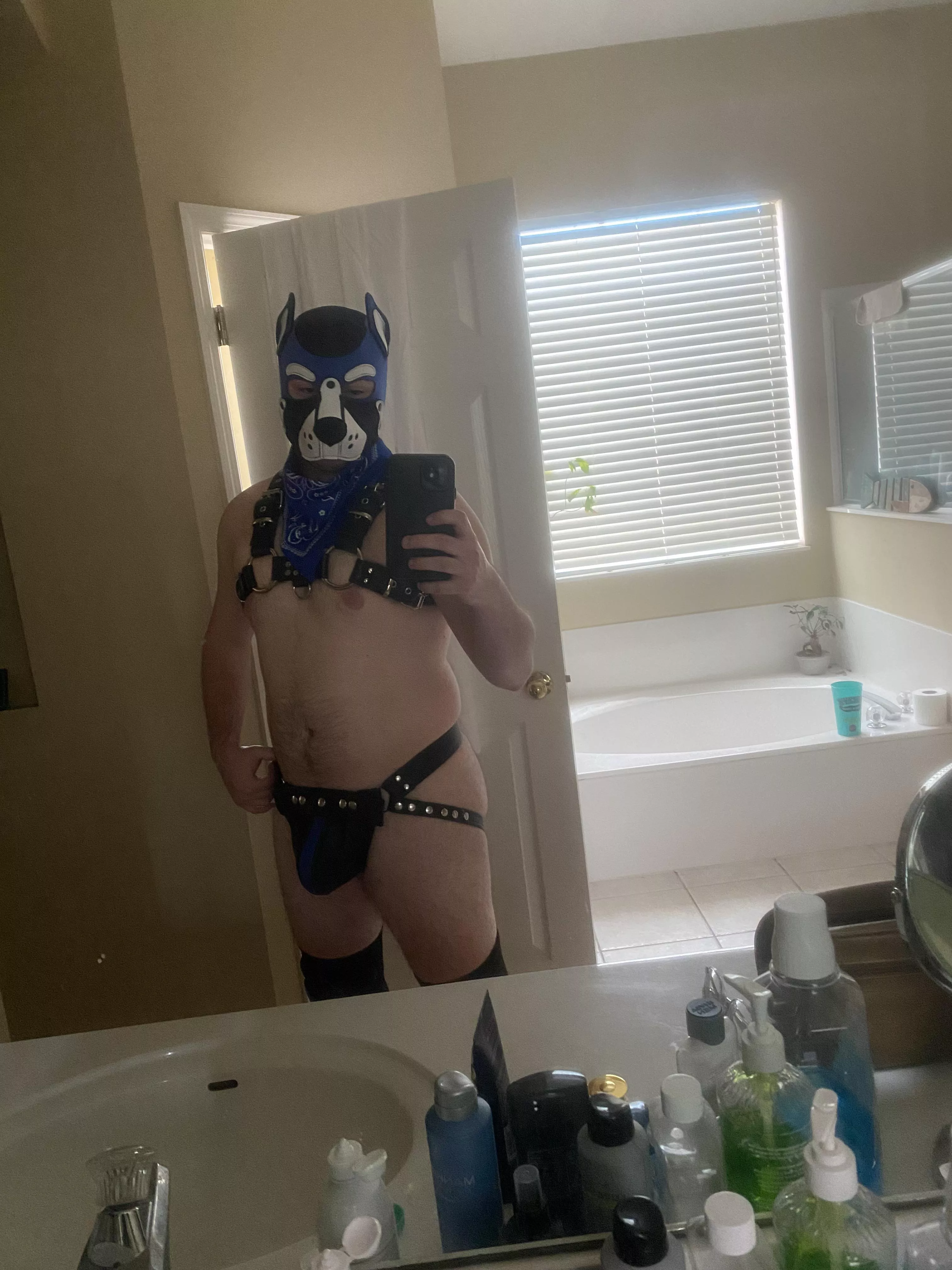 Leather Pup Luca🐶🐾 Arooo! posted by luca_saytr