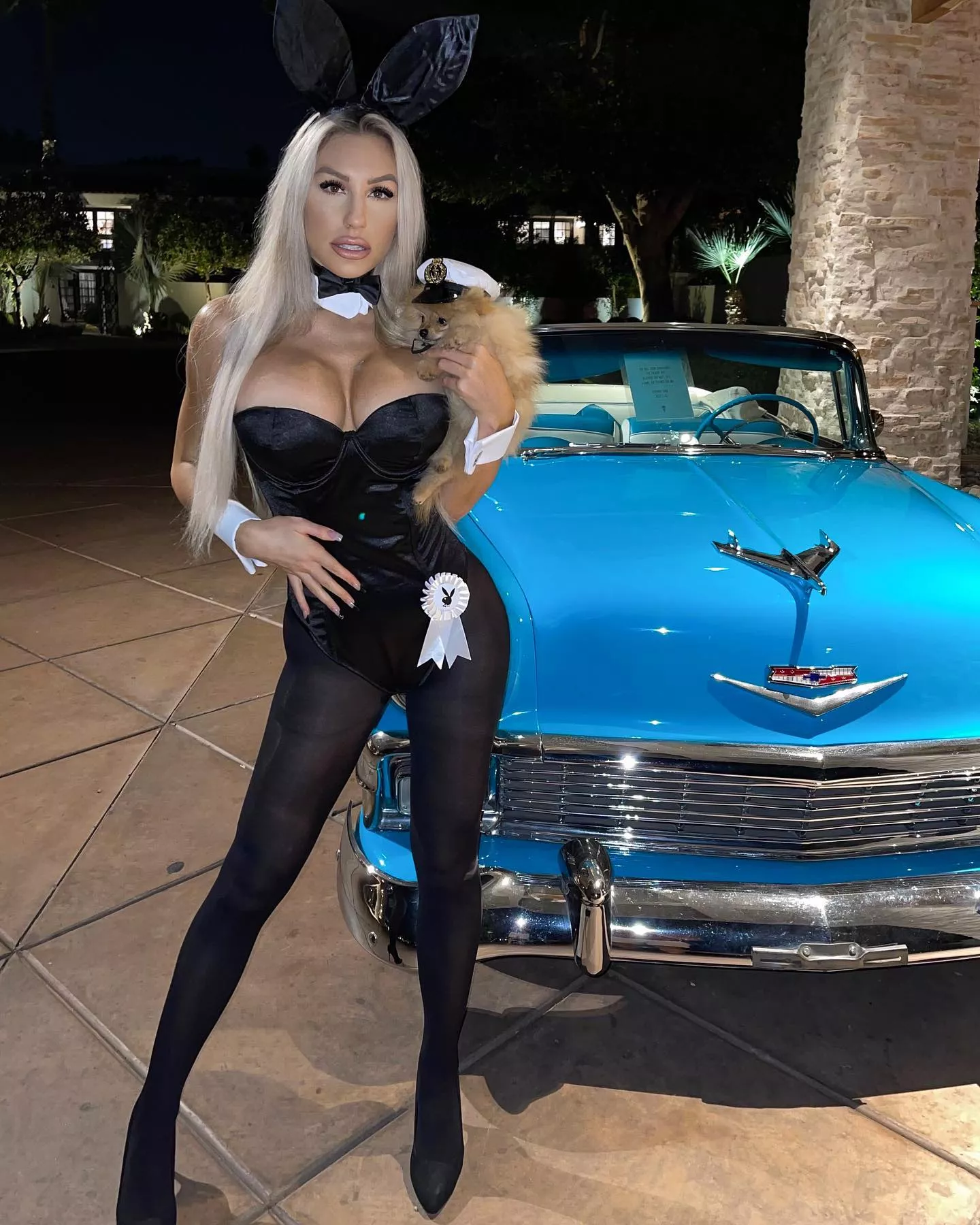 Leggy Bunny posted by gooningaccount