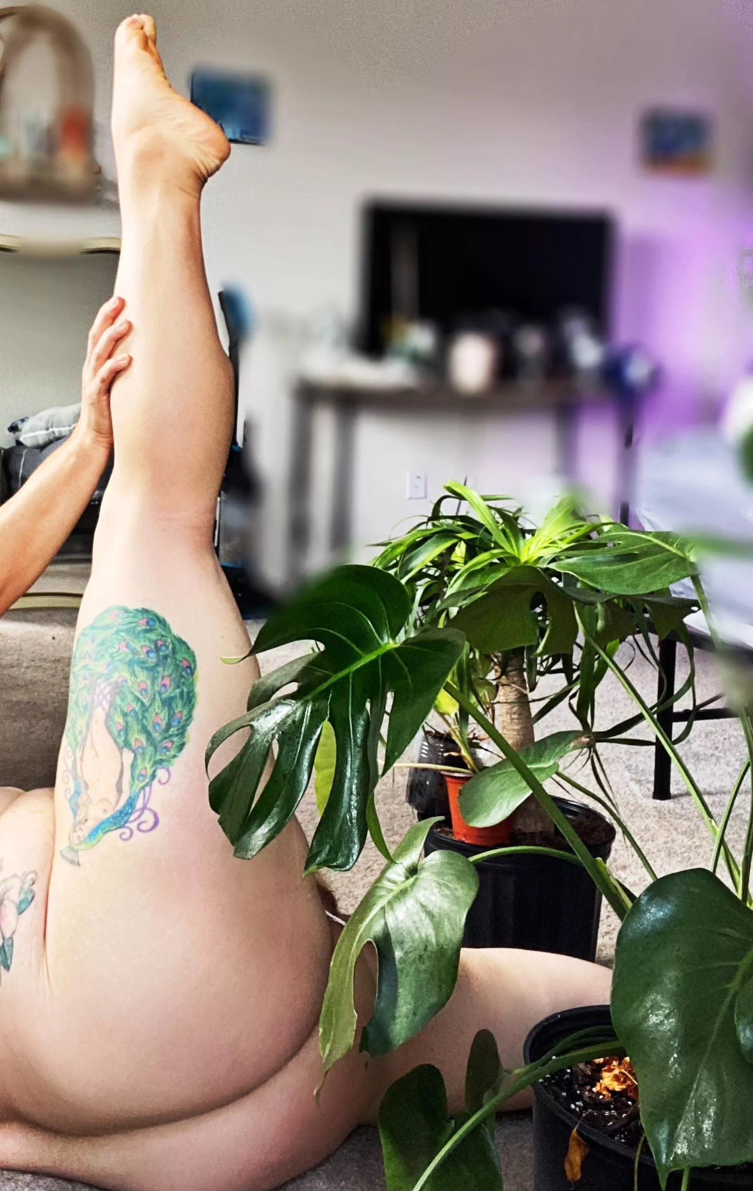 Legs and plant posted by Amelia_jones2087