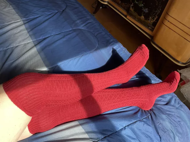 Legs for days and socks to match by raynes_panty_drawer