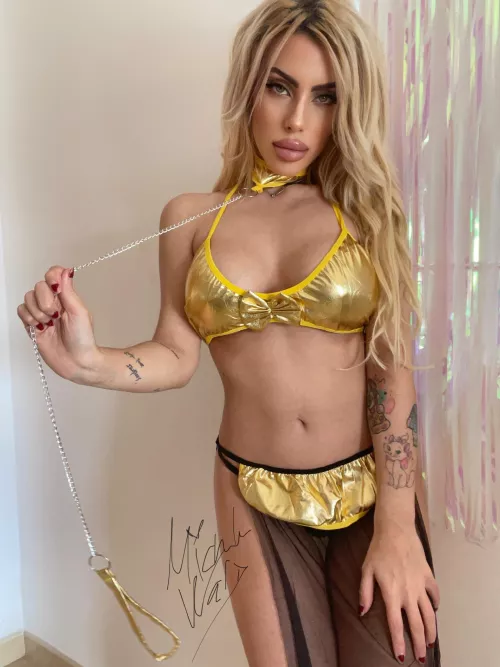 Leia by Michu Wars [OC] by leahxtravis