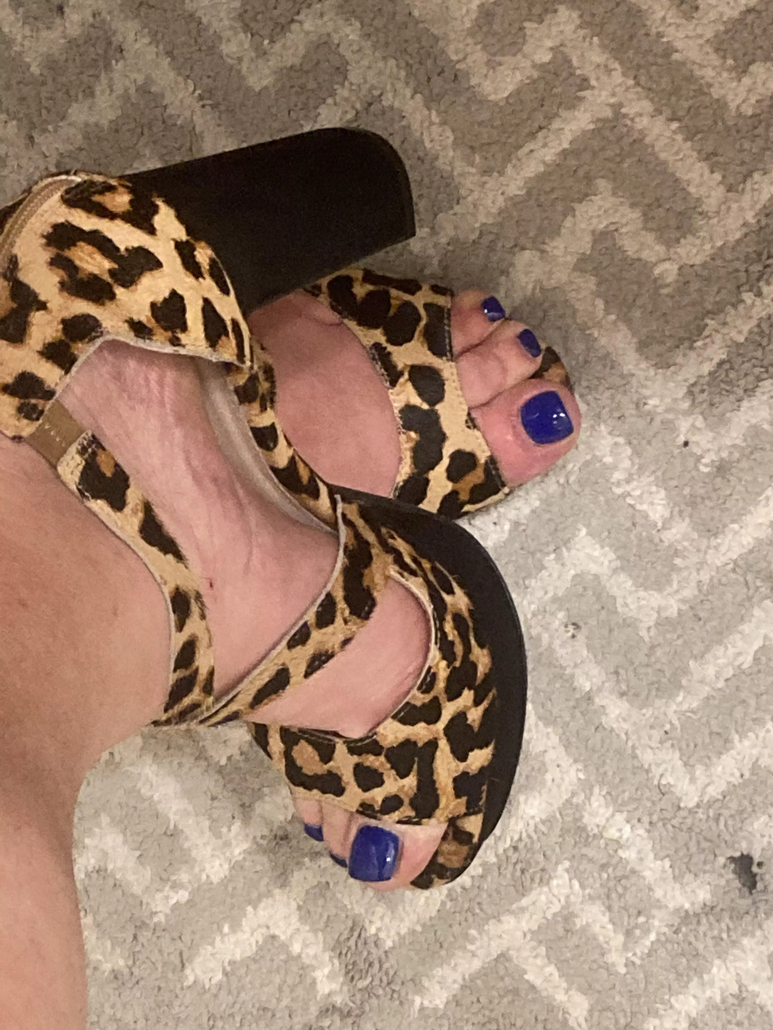 Leopard is one of my favorites. posted by Solid-Drop851