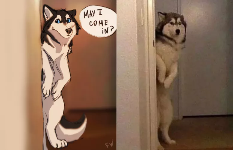 Let doggo come here :3 (By @FlashWhite_) by Ragdoll_X_Furry