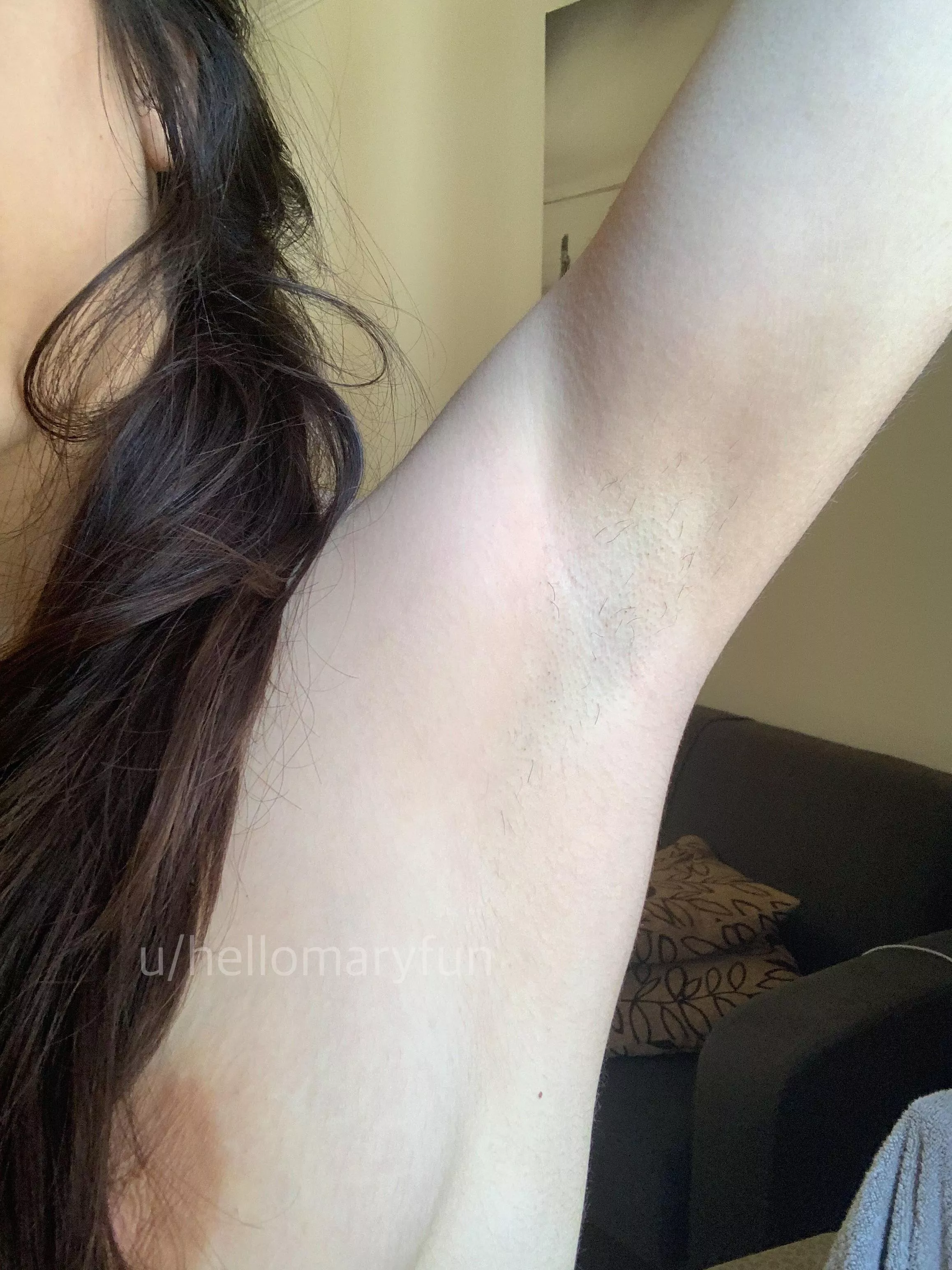 Let it grow? posted by HelloMaryFun