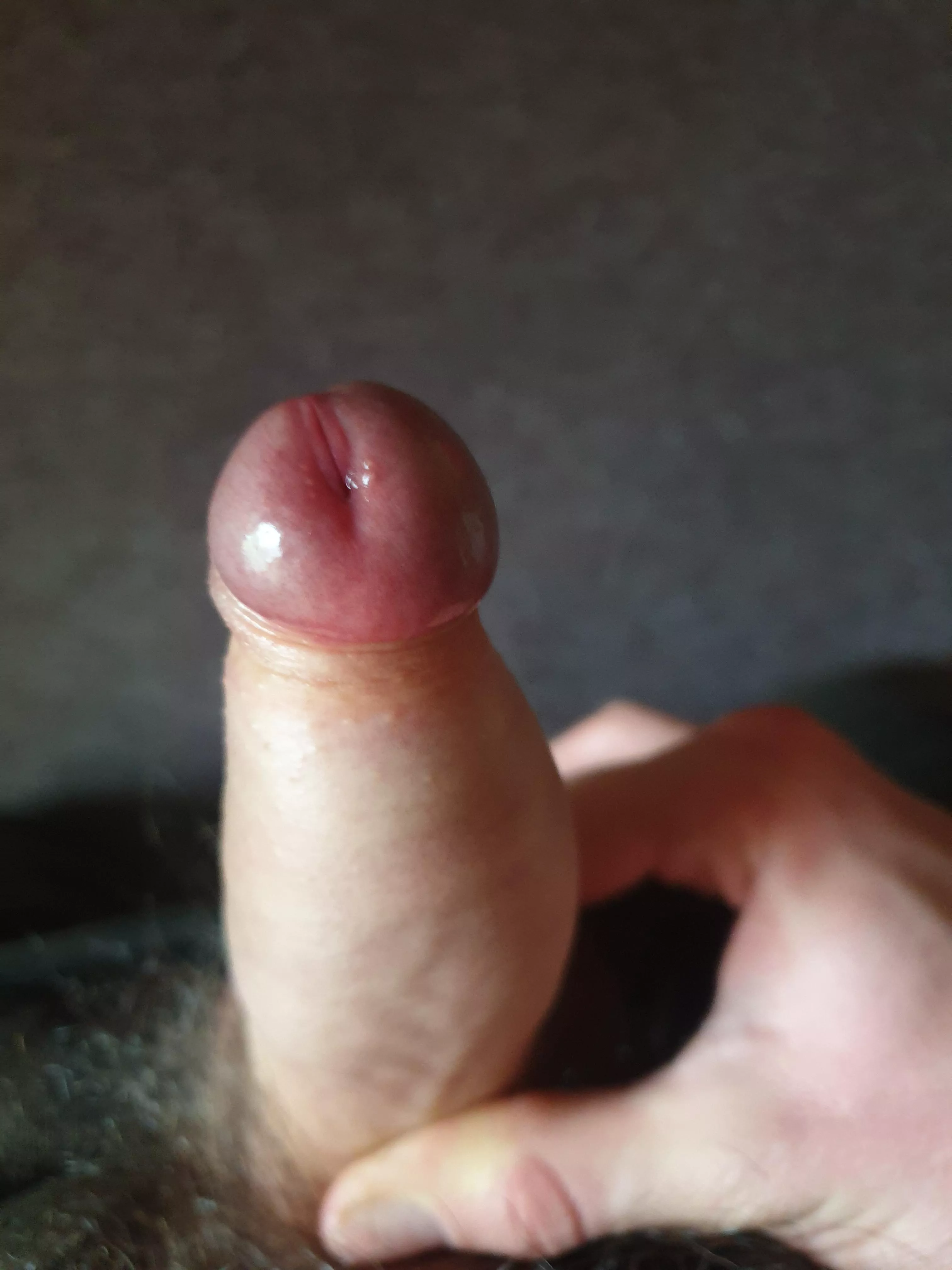 let me cum for you posted by Born-Introduction-31