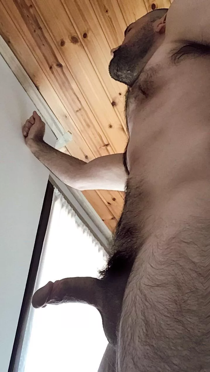 Let me stay at home! posted by ludoridi