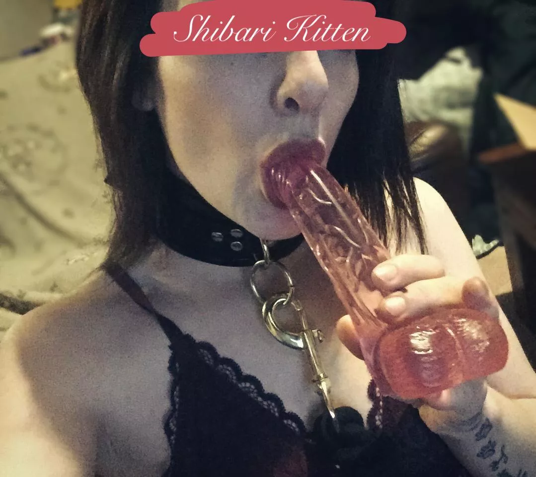 Let me tease you 😈🍆 posted by The_Shibari_Kitten