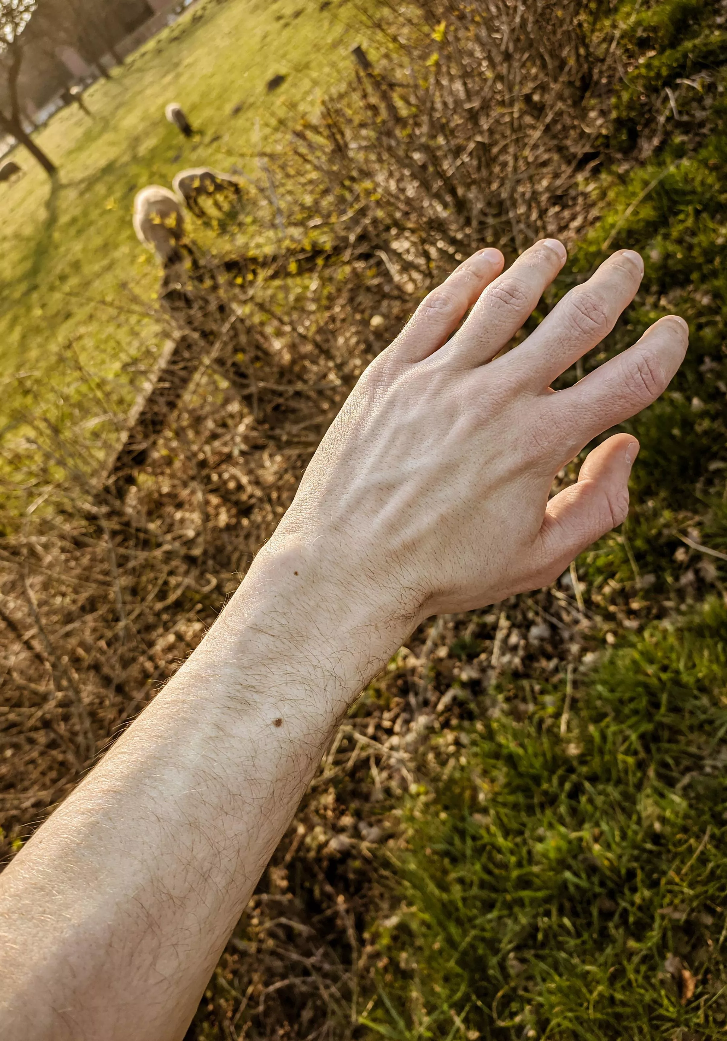 Let the juice of nature flow! posted by TilmitderBrill