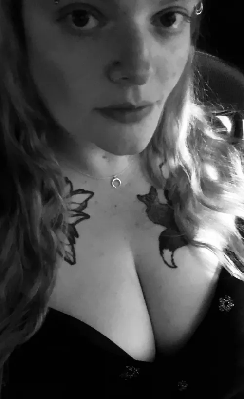 Let’s go (f)or a ride! by tiedandtwistedinbows