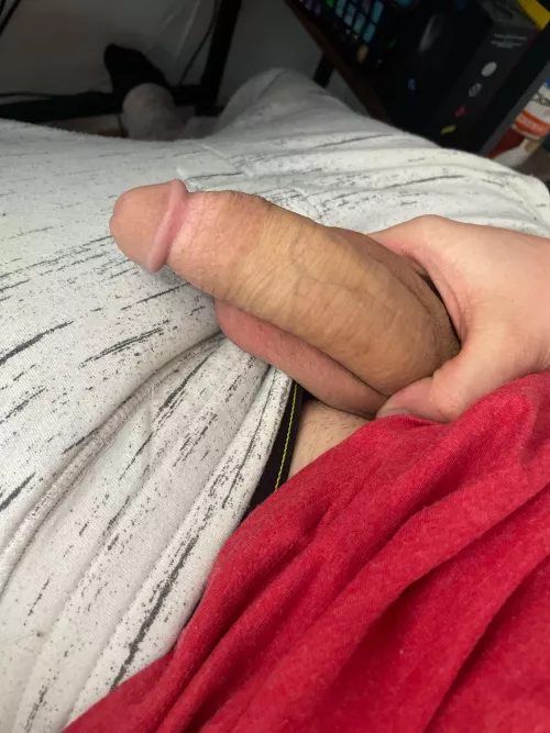 Let’s have fun by annihitater0517