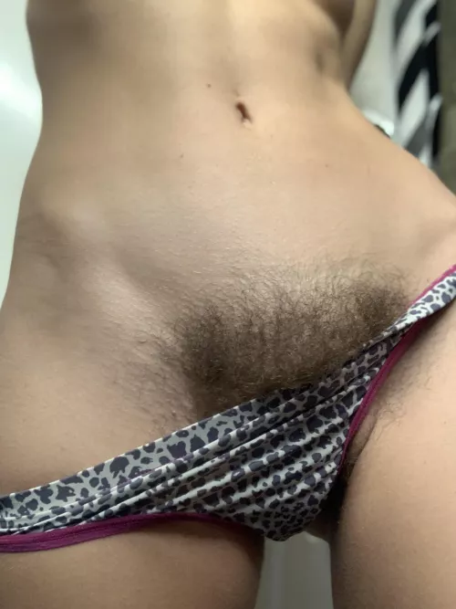 Let’s keep it furry by annasfunzone