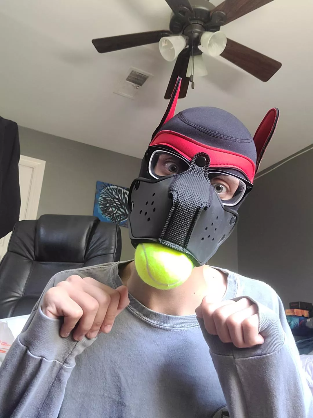 Let's play fetch ☺ posted by VoxSilvaIsGay