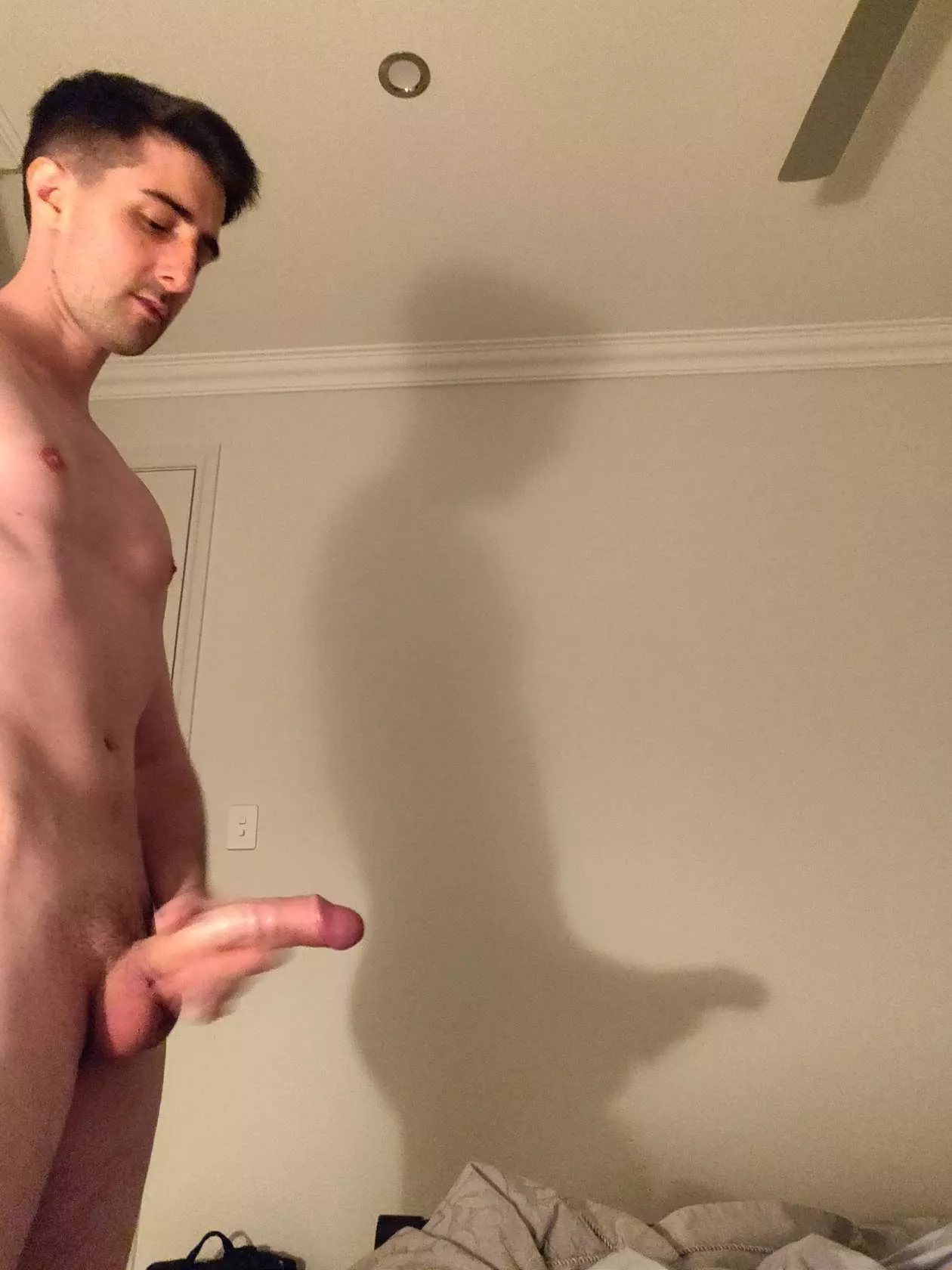 Let's put on a puppet show together? 😉 posted by OzDegenerate