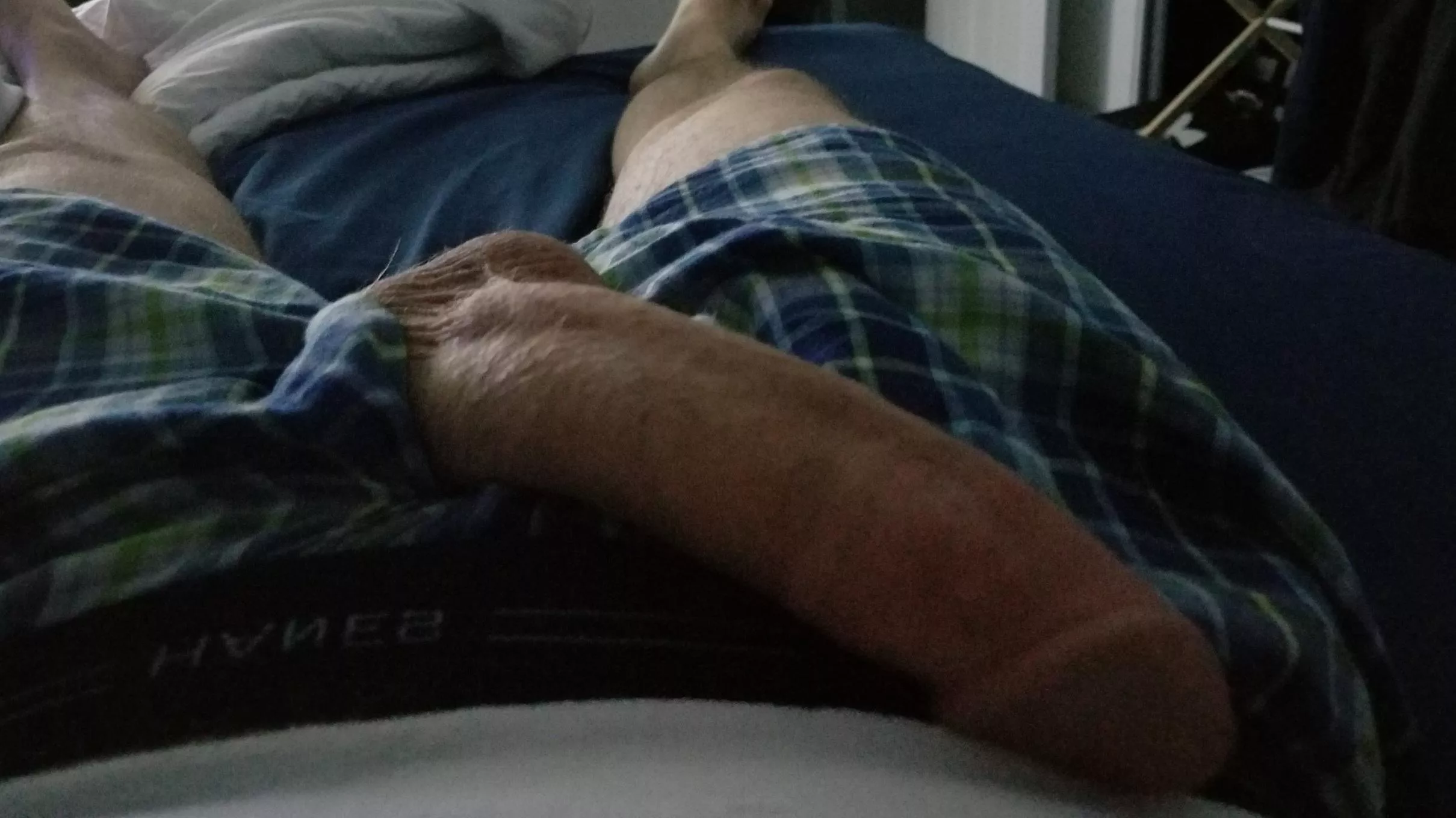 Let's stay in bed all day! posted by carps101