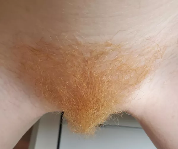 Let's throw a little red into the mix by caelyxofficial