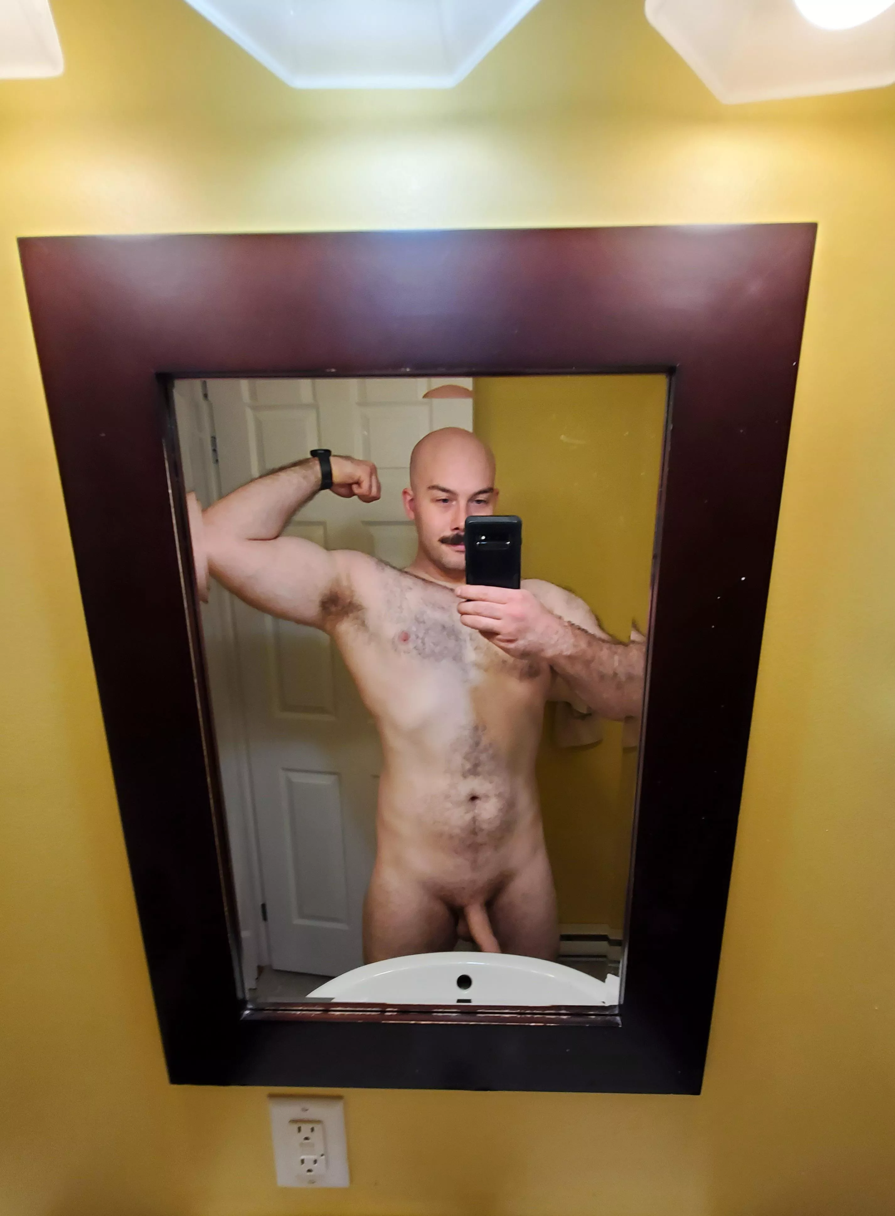 Let's train together [m] posted by free_lifter69