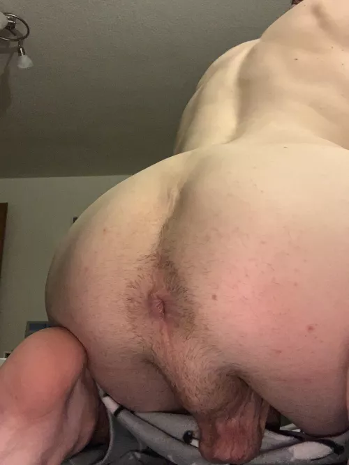 Letting my fur grow again by tighth0letwink