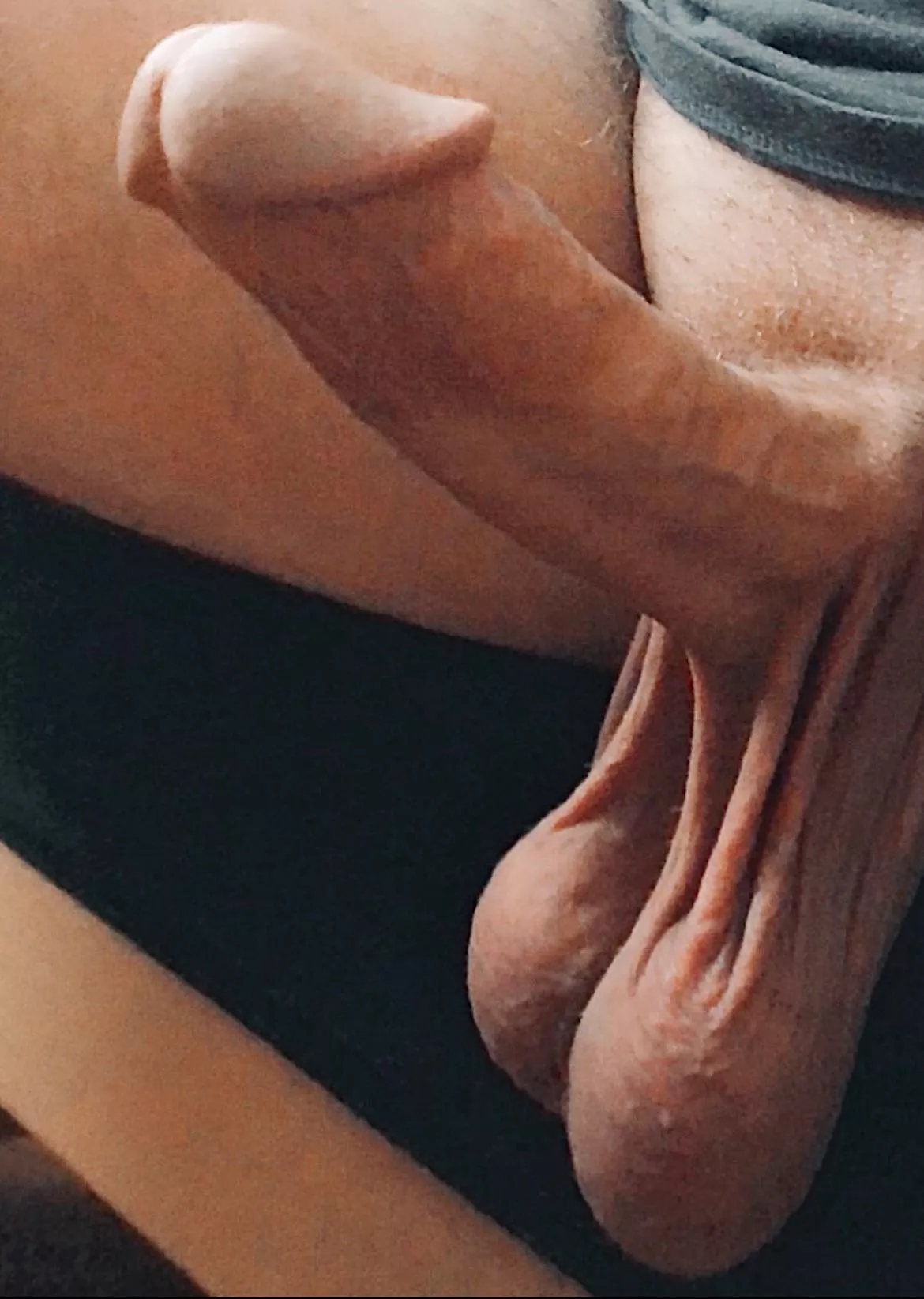 Letting the boys get some sun posted by Sudden-Performer9943