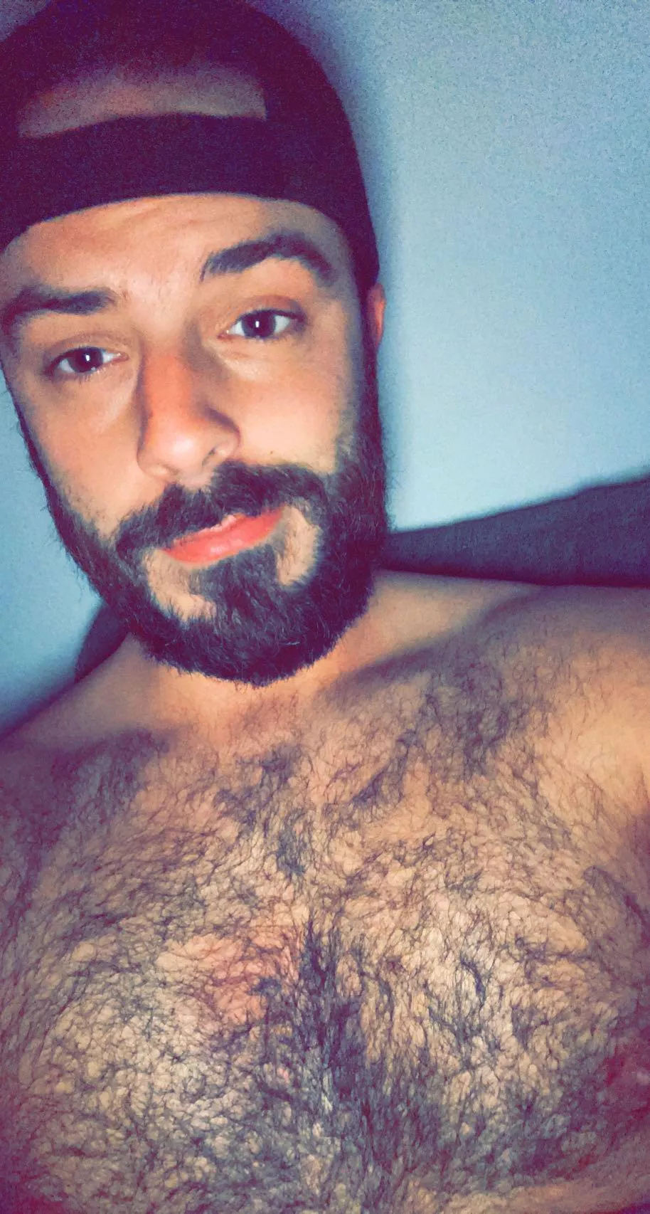 Letting the fur breathe after hitting the gym. posted by scbrad13