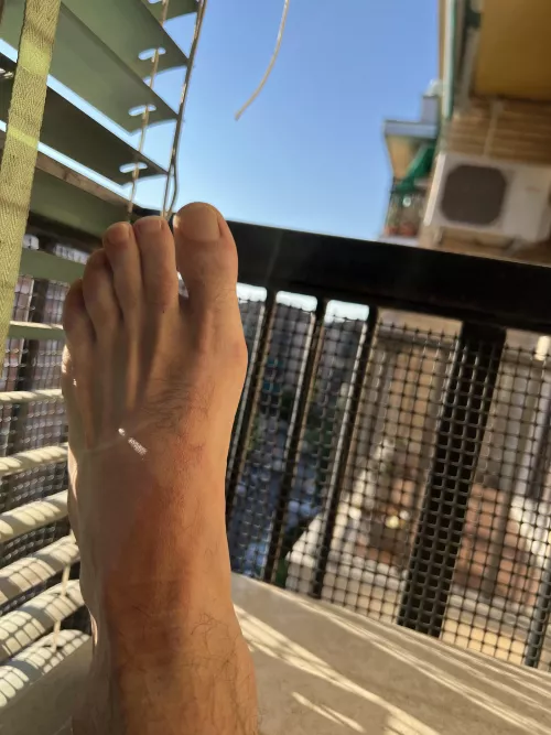 Letting them get some fresh air after a walk by Gullible_Page_8093