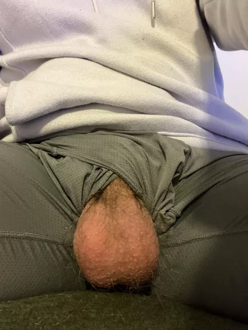 Letting them out for some air by Jakes-snake