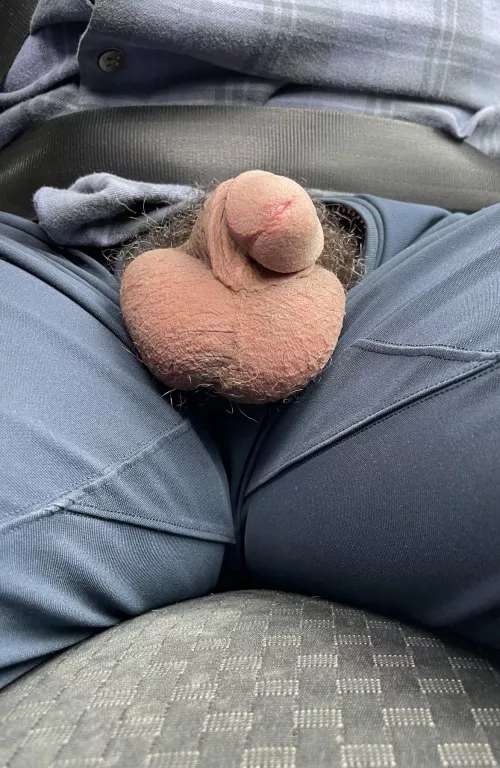 Letting them out when stuck in traffic. by williamwinter69