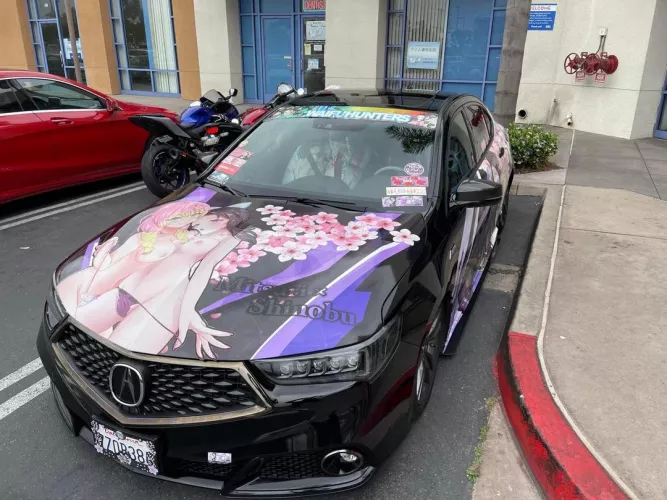 LF Color Source: real, reality, 