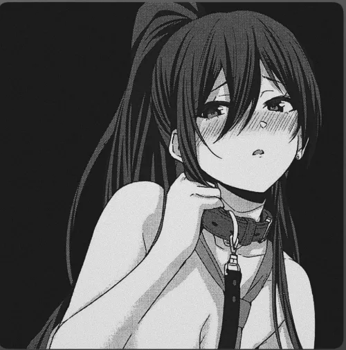 Lf mono source: 1girl, ponytail, collar by akagi_red_suns