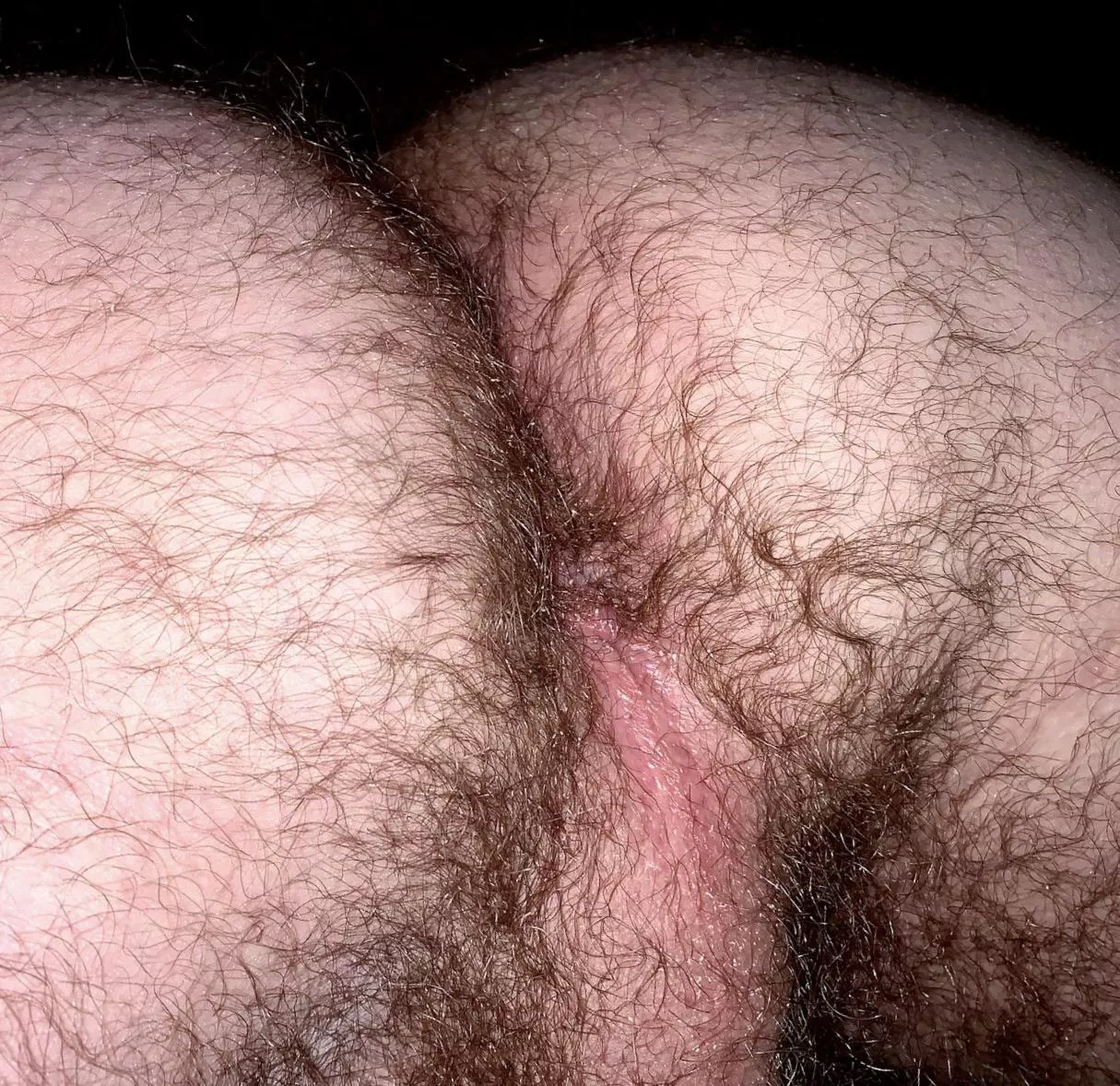 Lick everytming here. posted by bathingsuitkickball