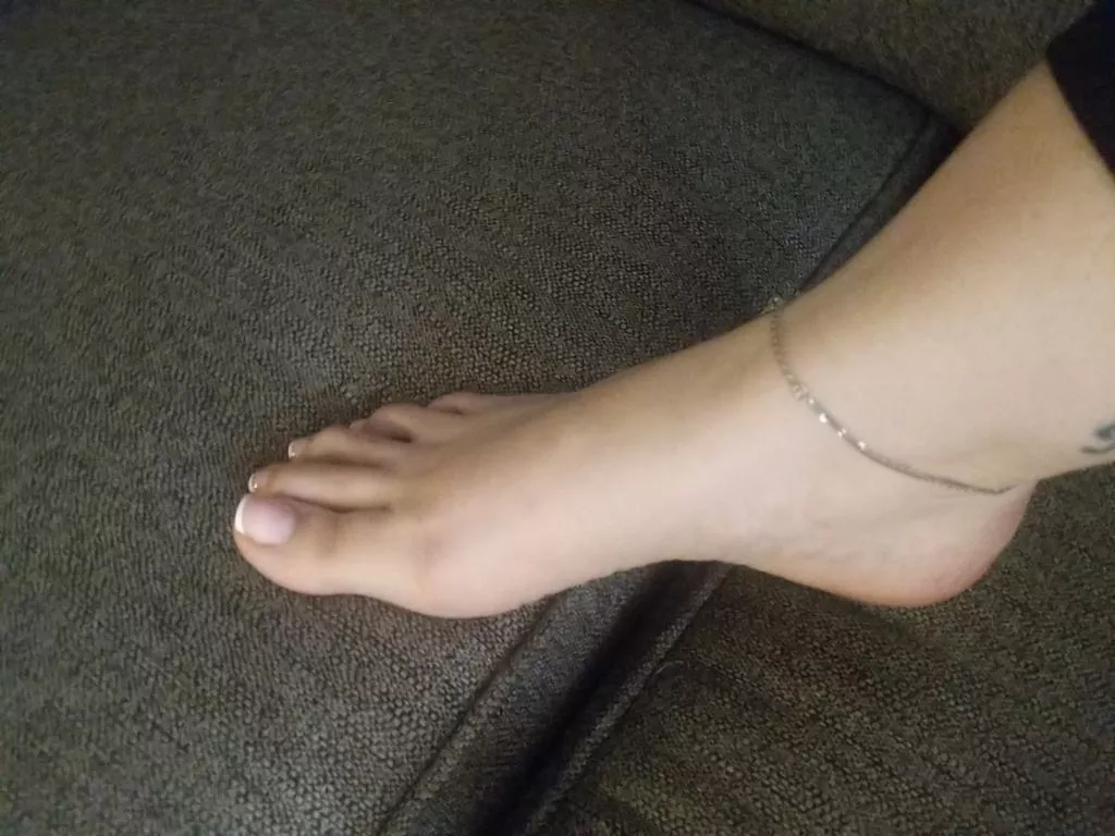 lick my feet please posted by SexyDaisyRae