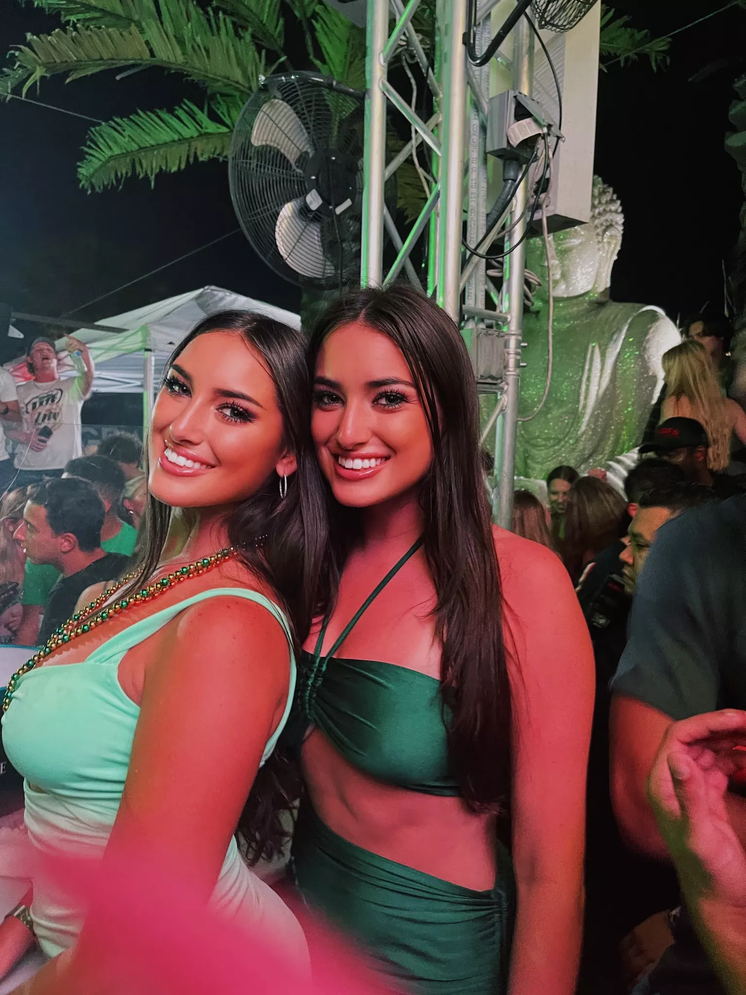 Light Green or Dark Green? posted by civilrainy