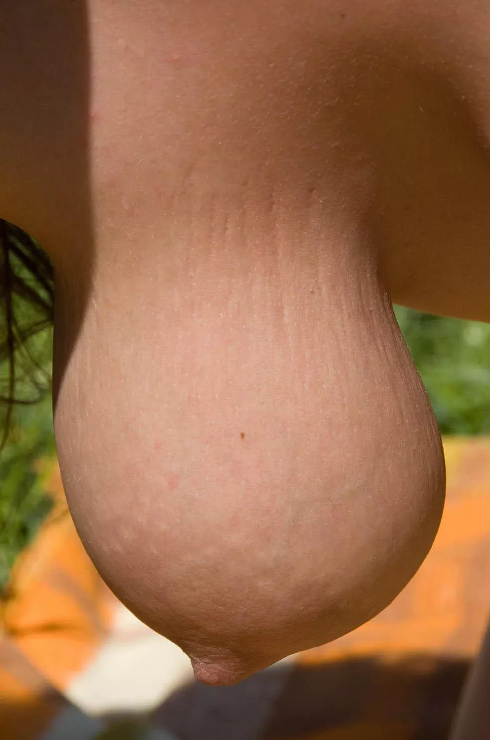 Like a grapferuit in a gym sock.⭐☺ posted by dartnewspaper