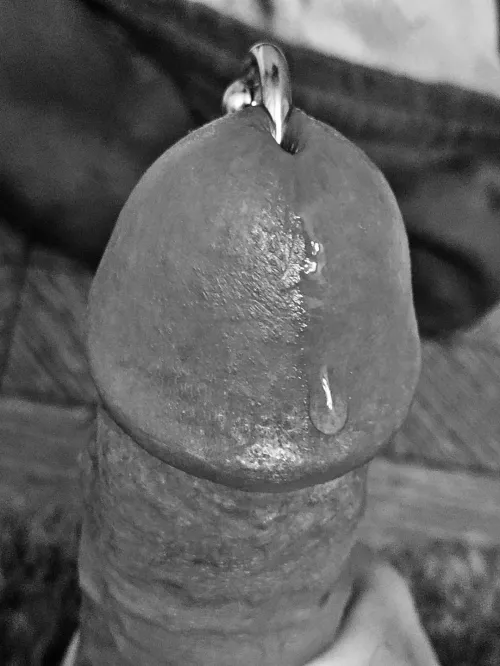 like honey by mypenisaverage