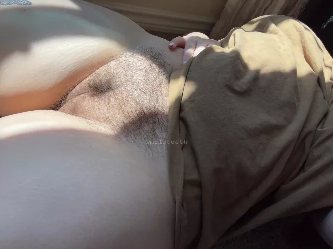 like my bush?🫶🏼 by melkteeth