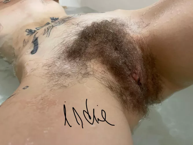 Like my bush? by indieonline