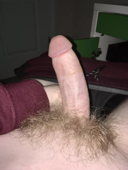 like my bush? by im_a_sly_guy