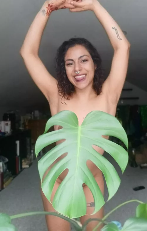 like my plants? by Fathertamara