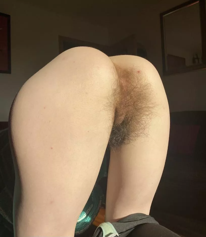 Like the morning sun? posted by Many-Aioli688