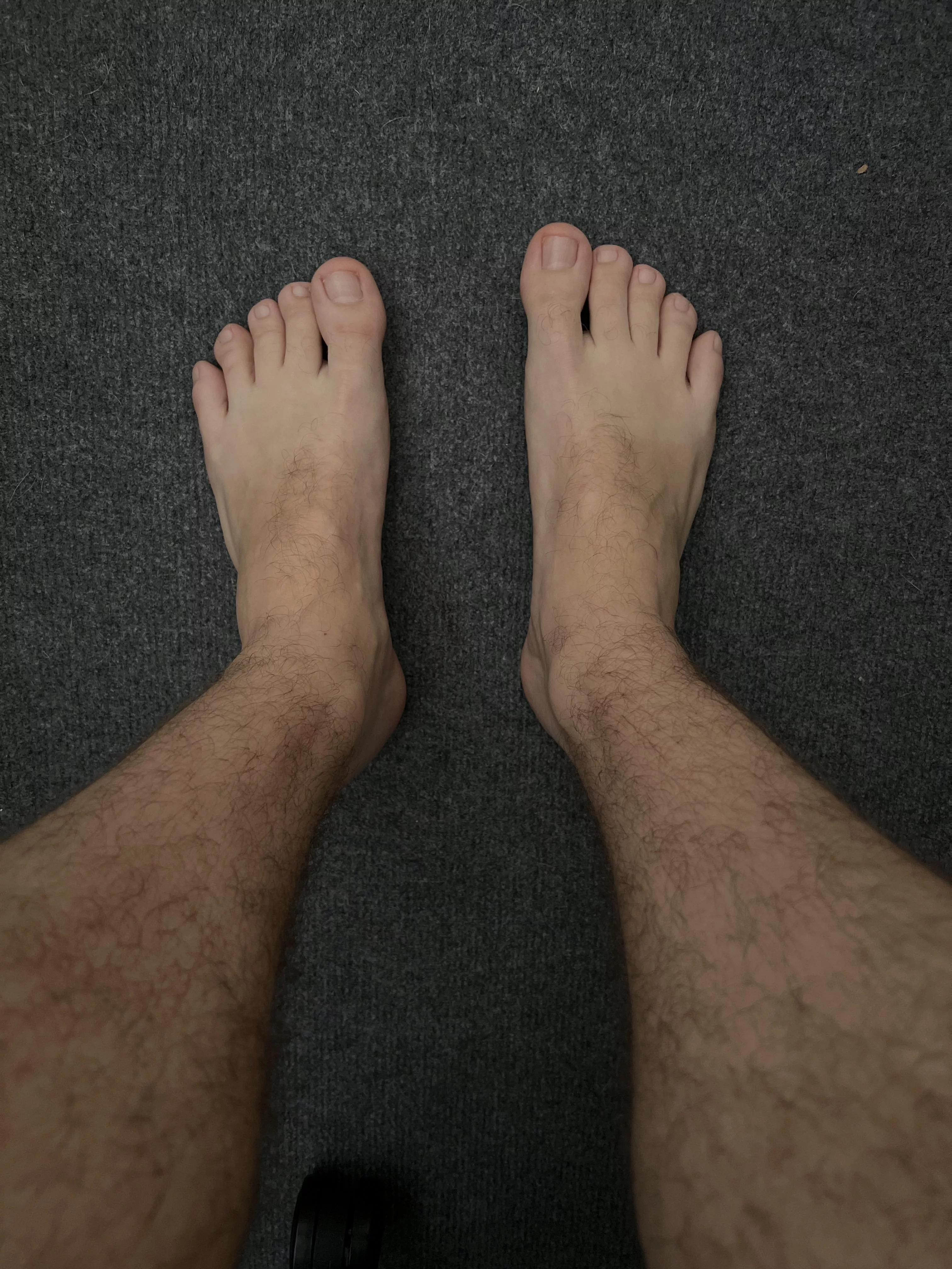 Like what you see? posted by metalfreak26