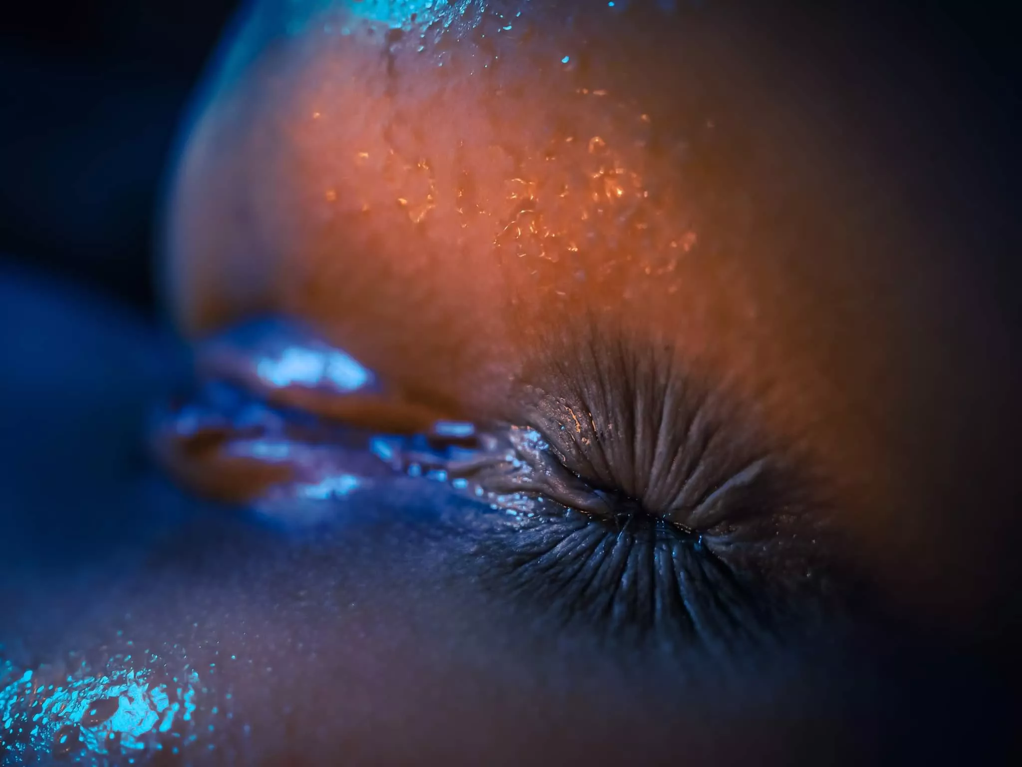 like what you see? posted by EnvironmentalDare603