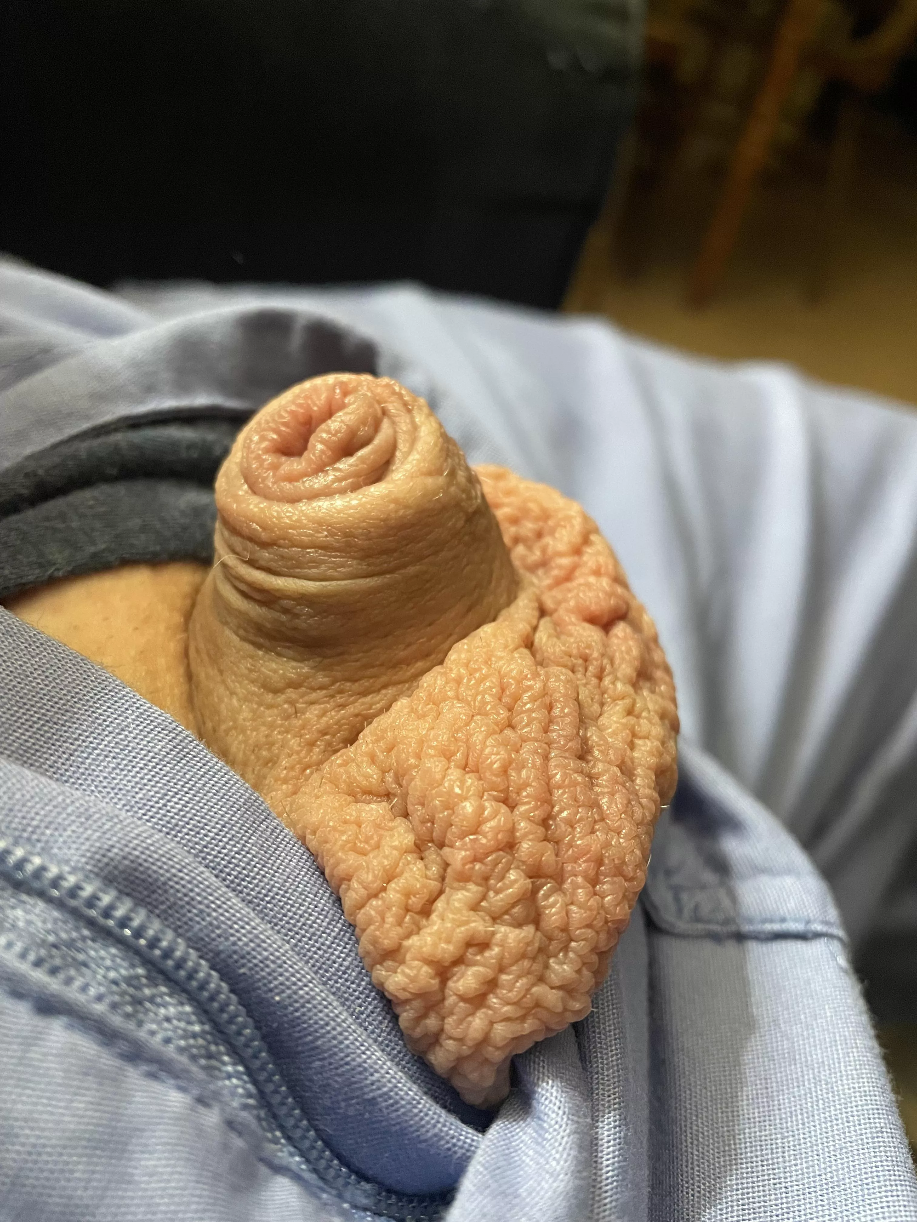 Lil cutie (40) posted by Friendly-Jacket-1793