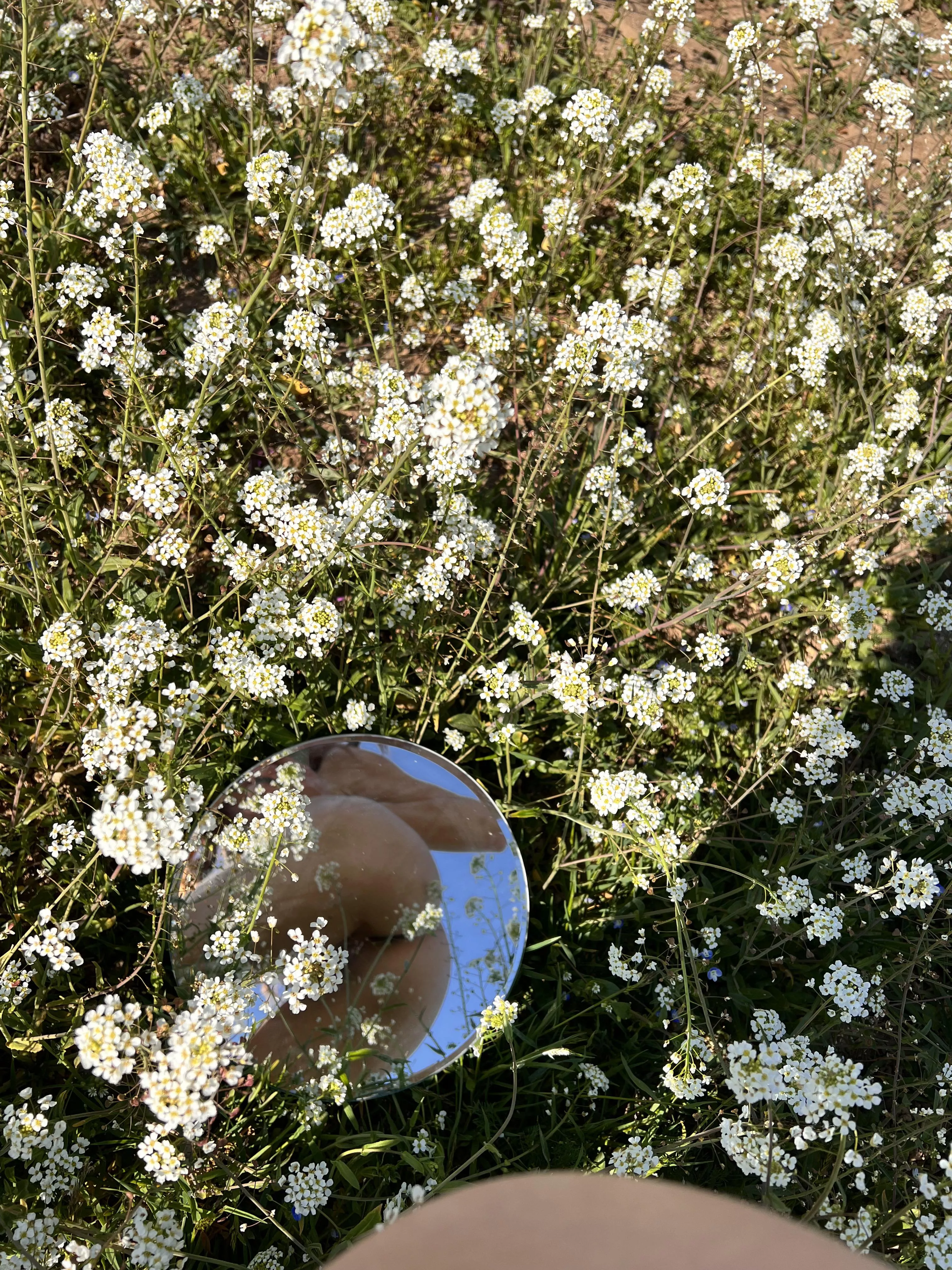 Lil flower 🌸 posted by stigiacore