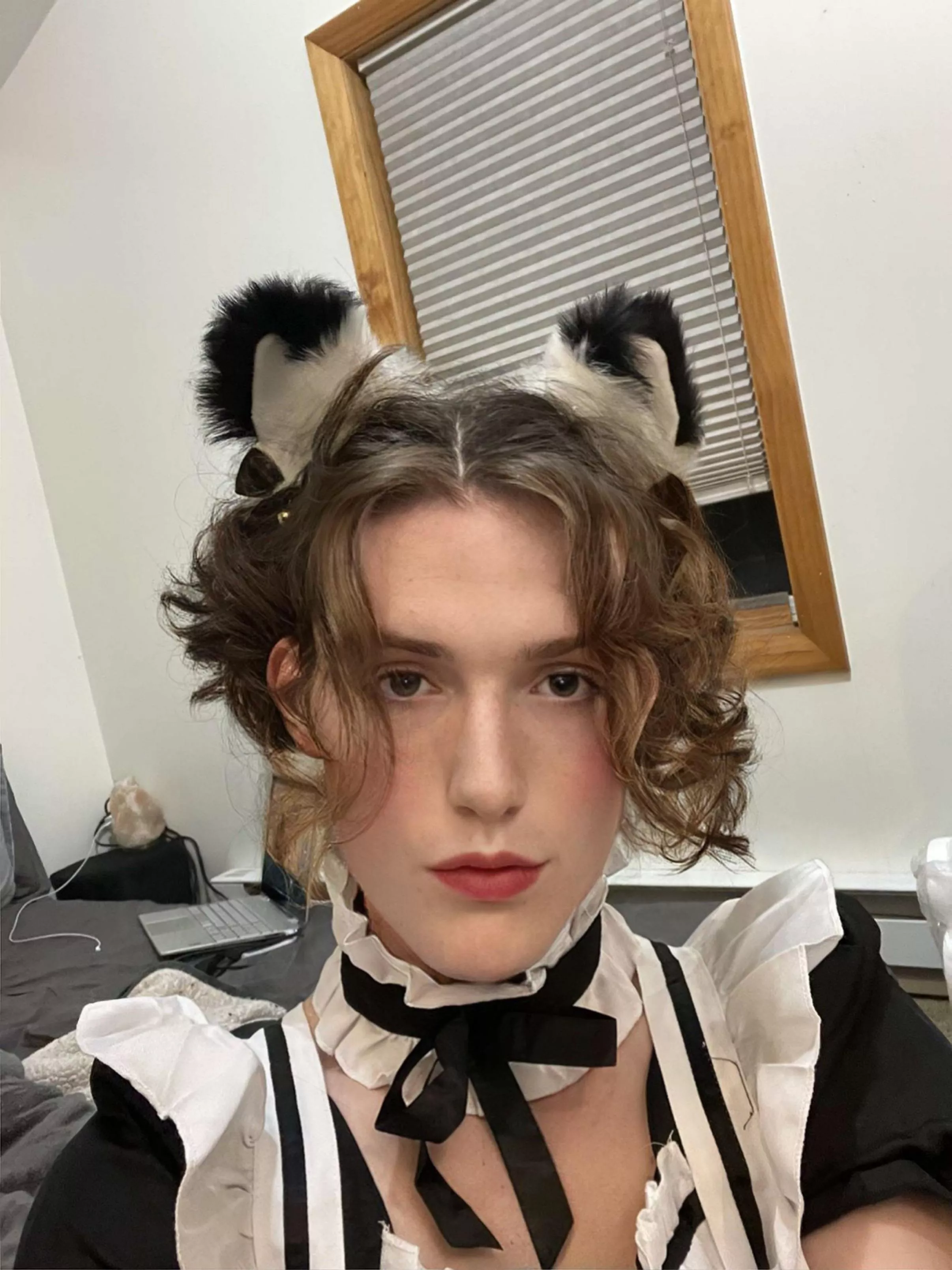 Little kitty😙 posted by Ok_Repair_4442