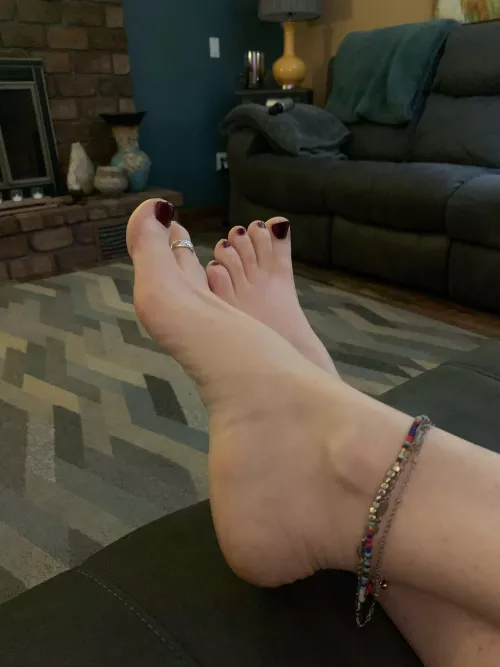 Little piggies by jackrebneysfern