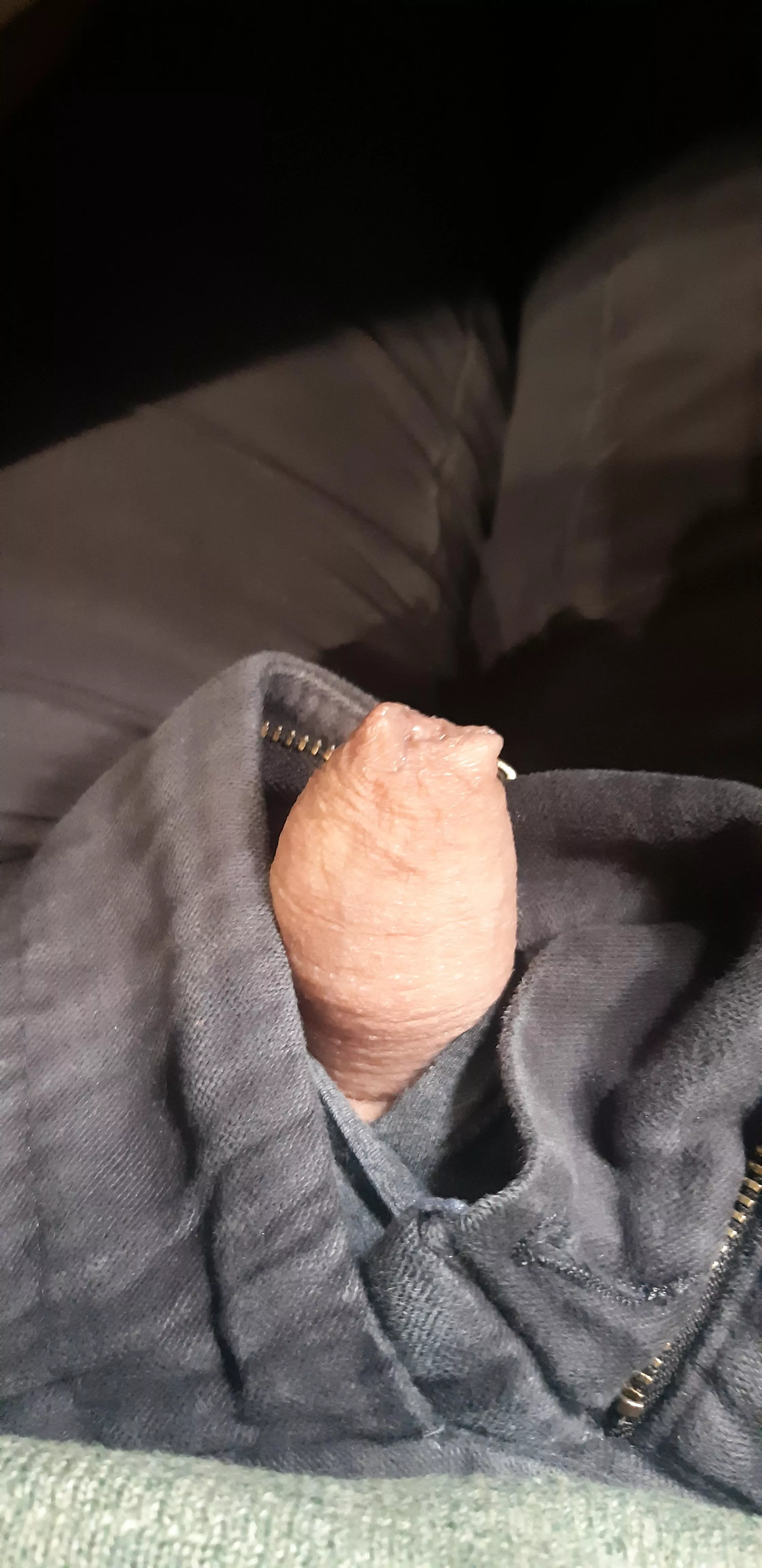 little softie at work posted by Chipolata4