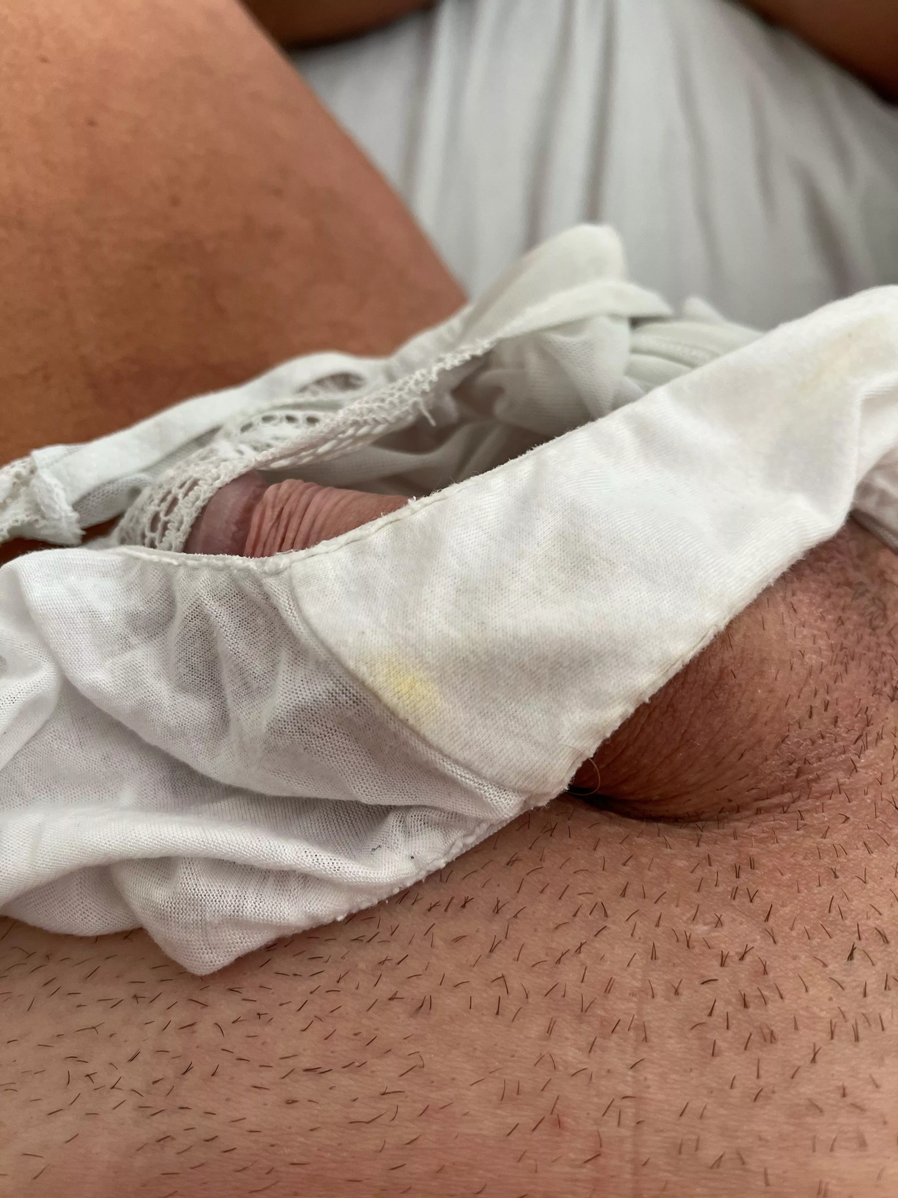 Litttle pussy stain posted by Haunting_Dinner_6077