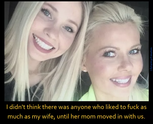 Live a d learn by rudolphbusstop