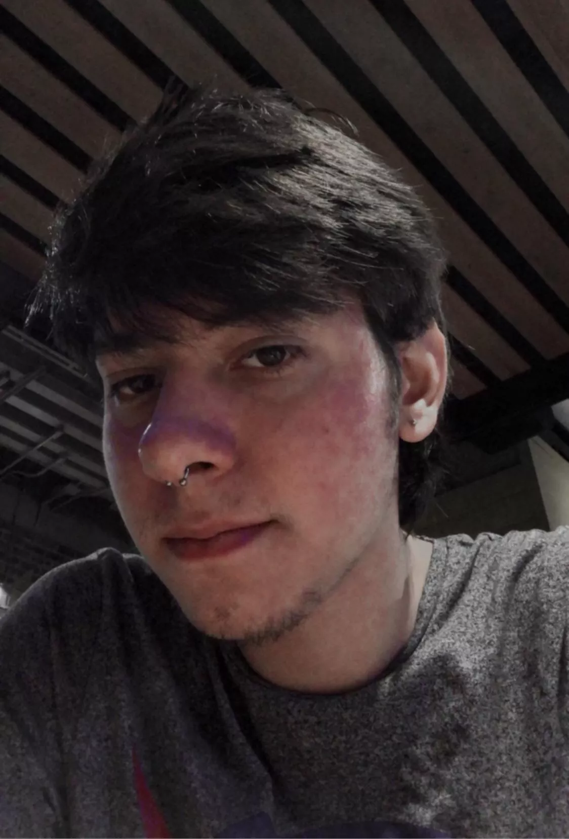 Lobes and septum done, just missing the brow posted by Anxious_Boss9777